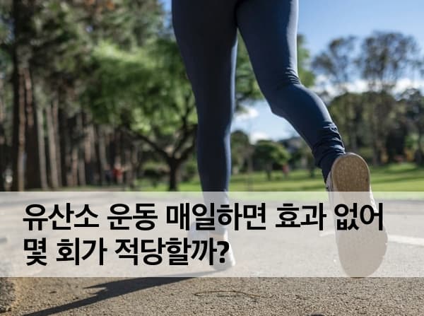 매일 유산소 운동 효과